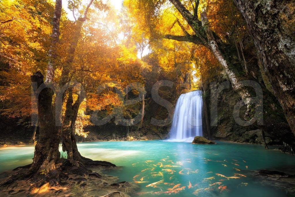 Фотообои Водопад в желтой листве