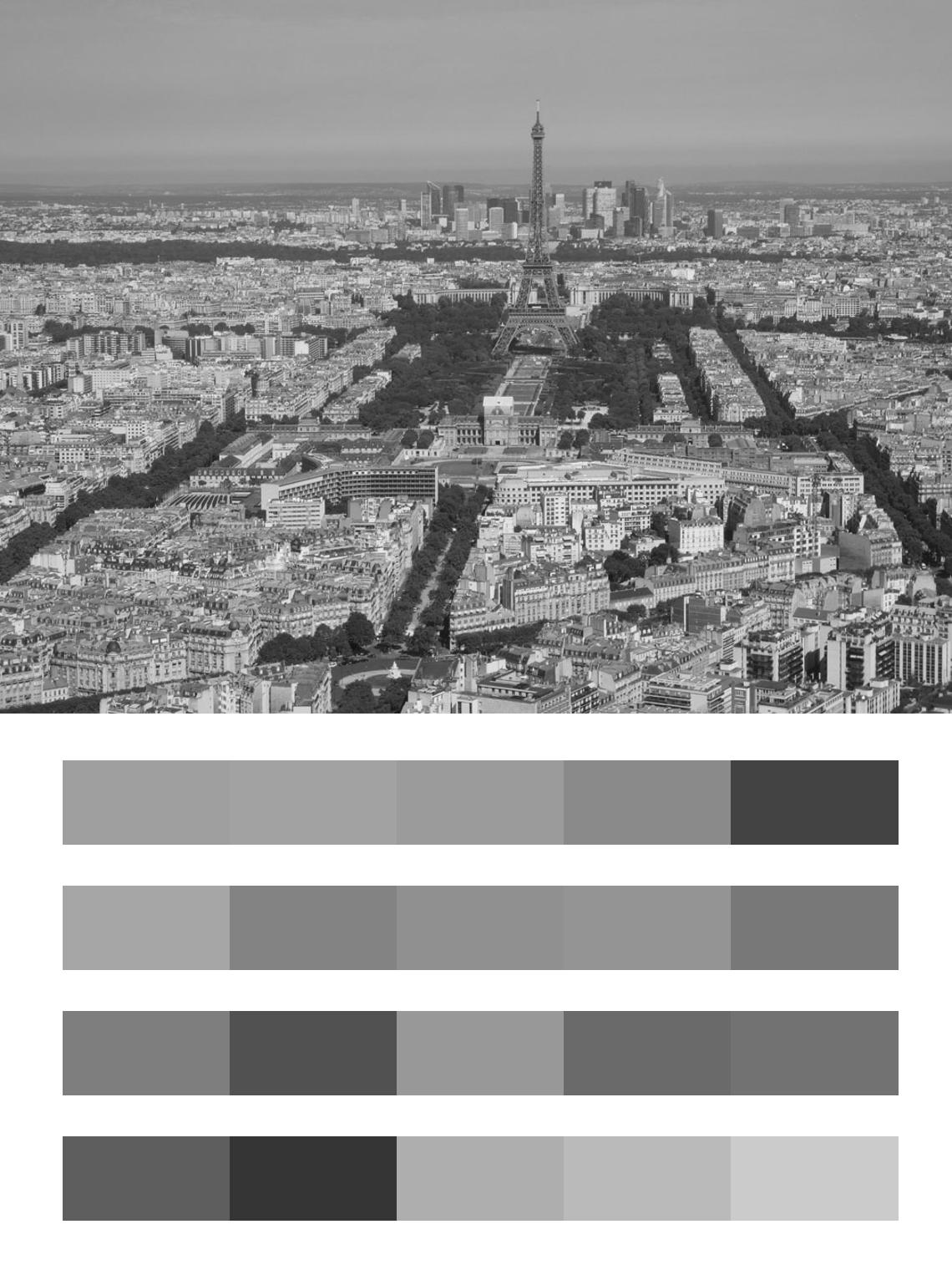 Вид Парижа сверху черно белый цвета